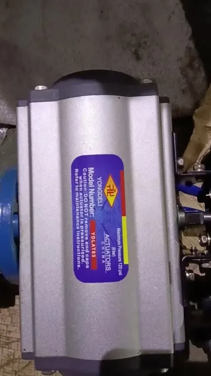 Pneumatic Actuator