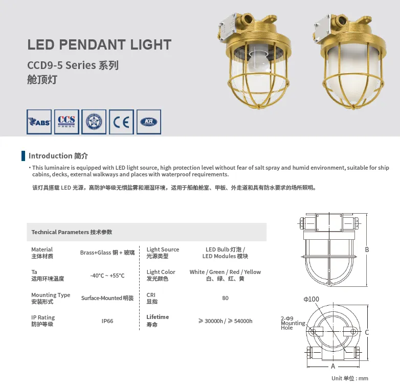 LED Pendant Light CCD9-5ML 10W Brass