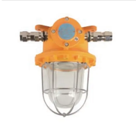 Explosion-Proof Light