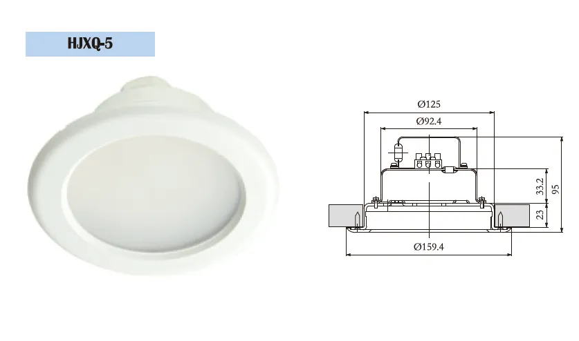 LED Down Light