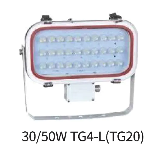LED Flood Light 50W, Stainless Steel